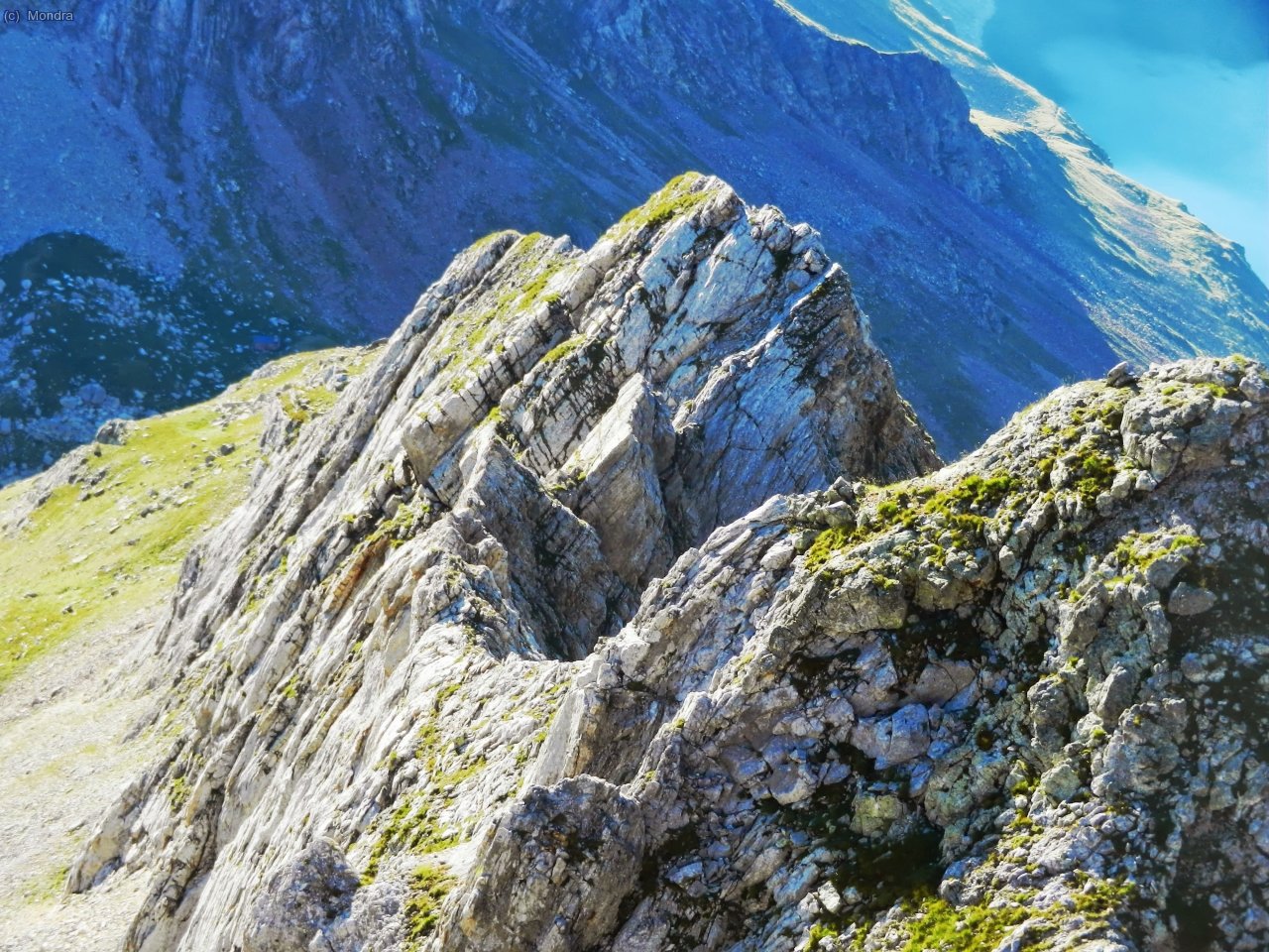 La secci&oacute; en m&eacute;s detall