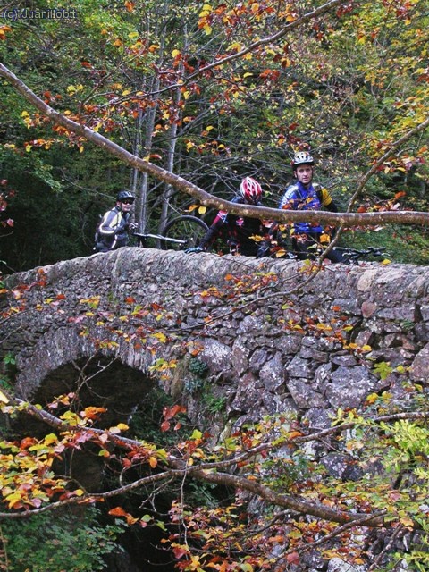 Pont de Salgueda