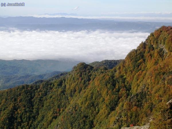 Niebla sobre la plana de Vic