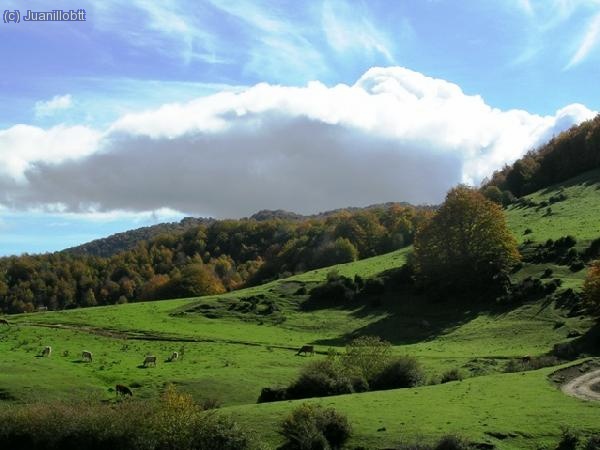 Paisaje del Vidran&egrave;s