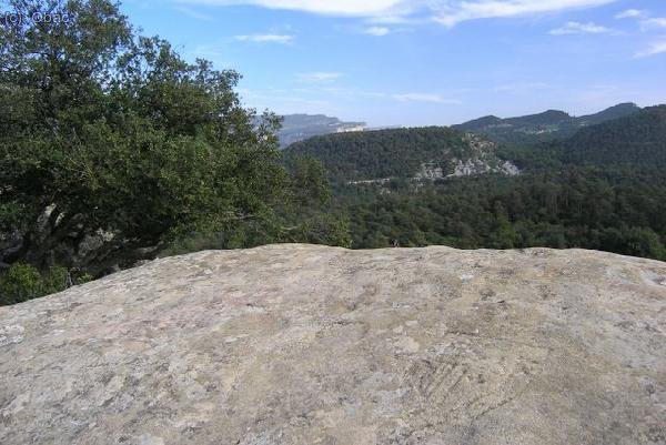 Escut a la pedra (Savassona)