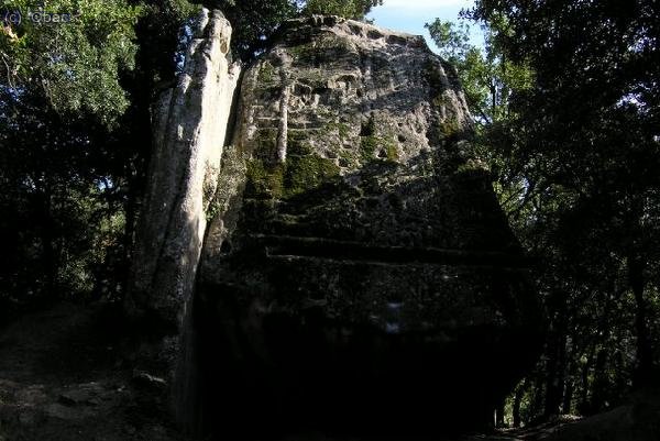 Pedra dels Sacrificis (mun. de Tav&egrave;rnoles)
