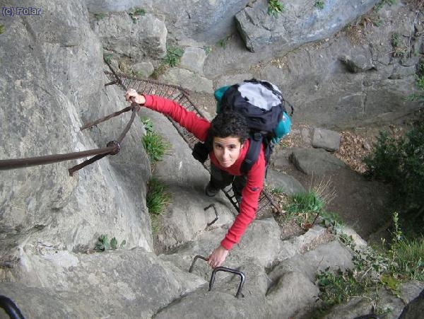 Un poco más vertical