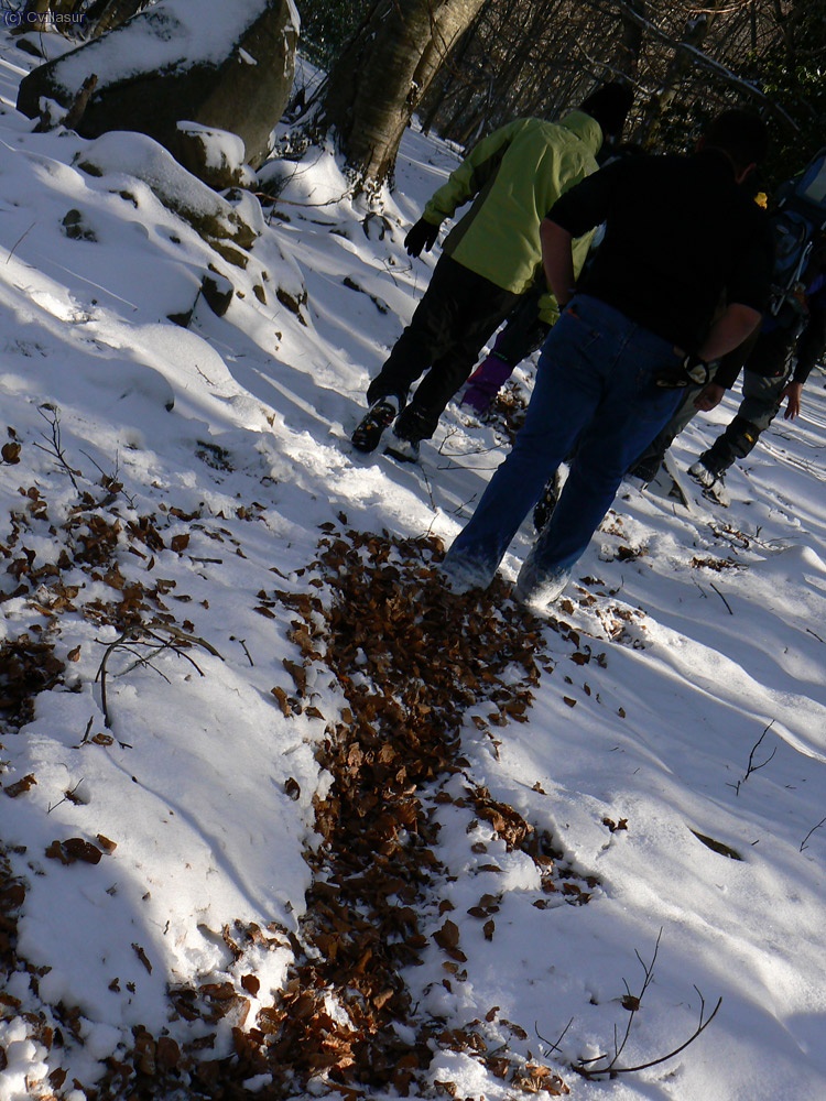 la tardor sota del hivern
