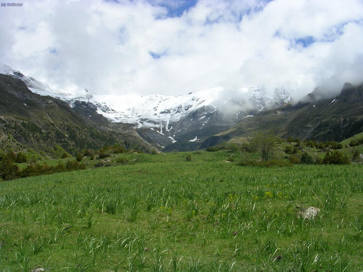 llegando a los llanos