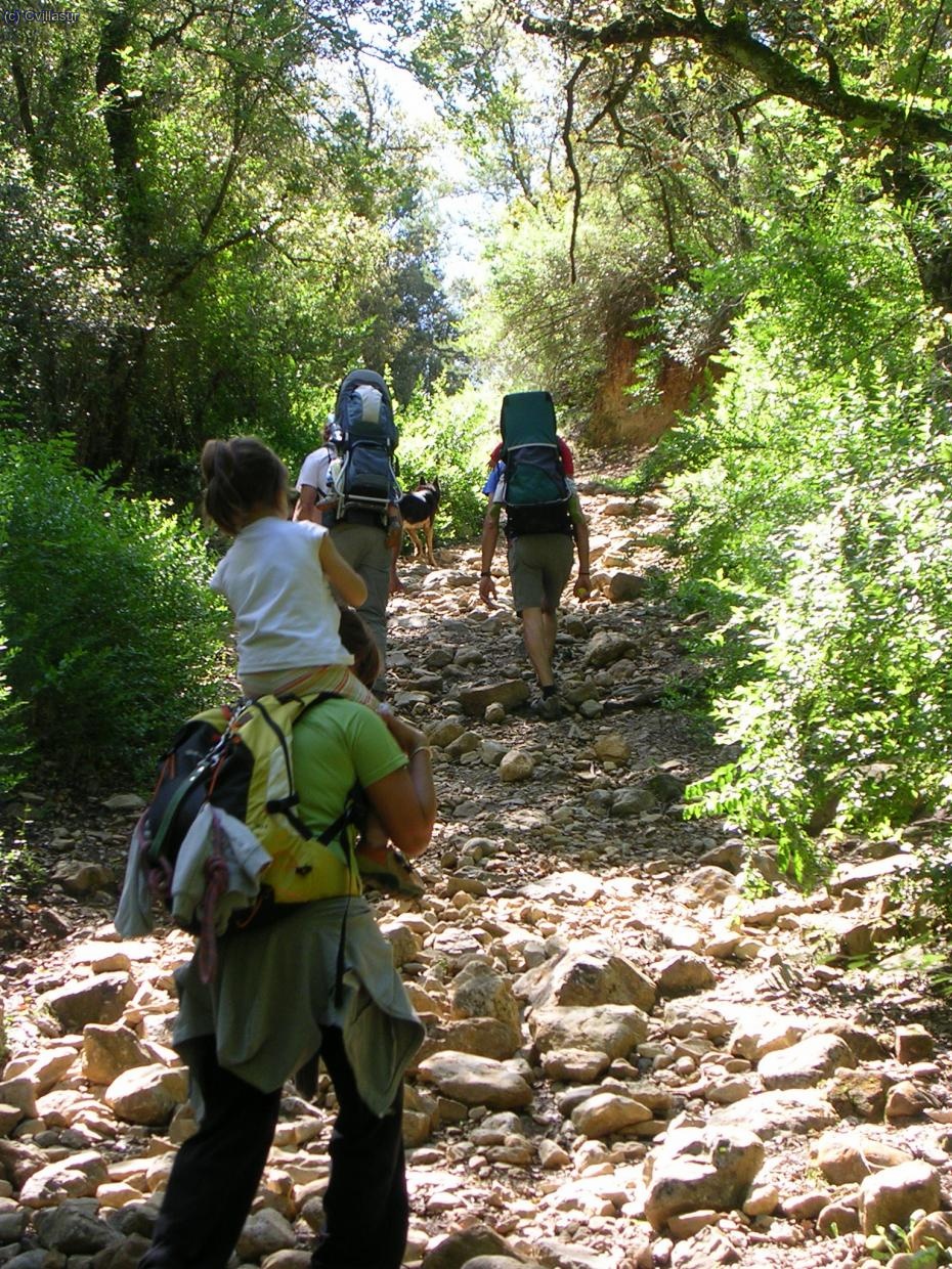 La &uacute;nica pujada del cam&iacute;...