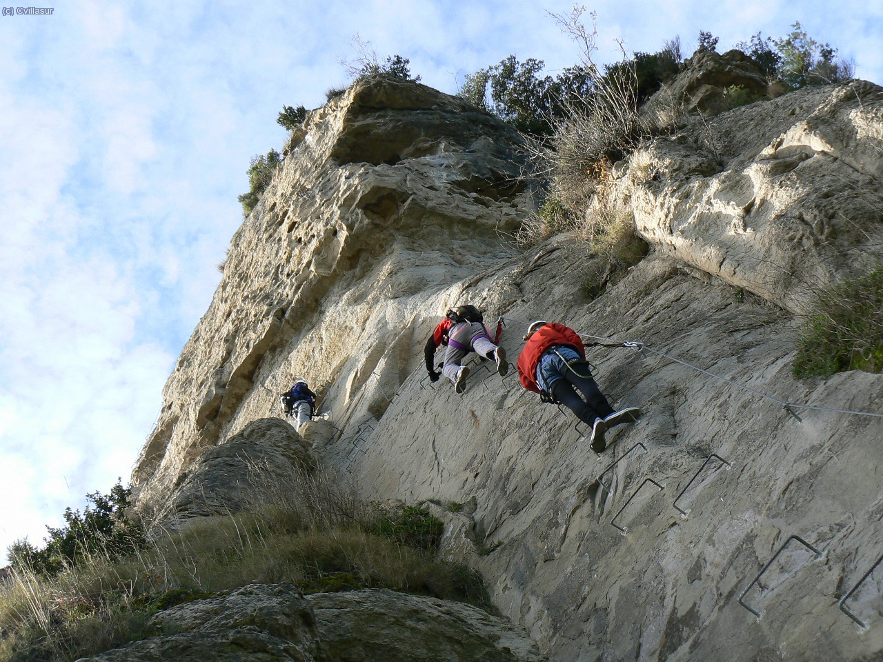 vist des de baix...