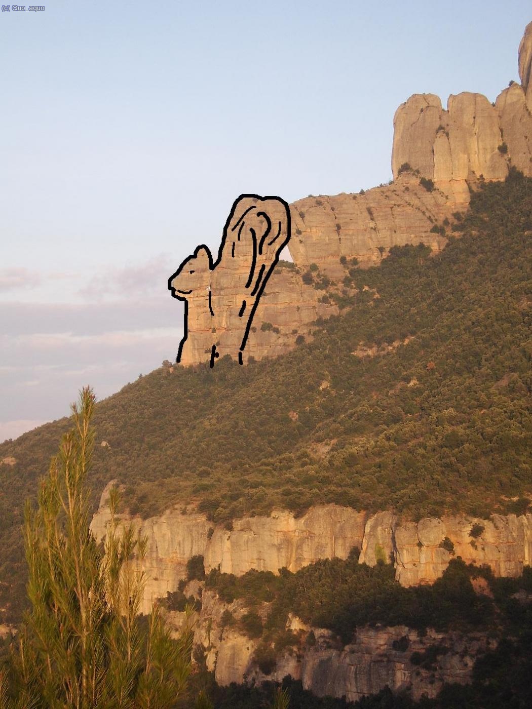 tres sis nou..estira-li la cua estirali la cua.... a l