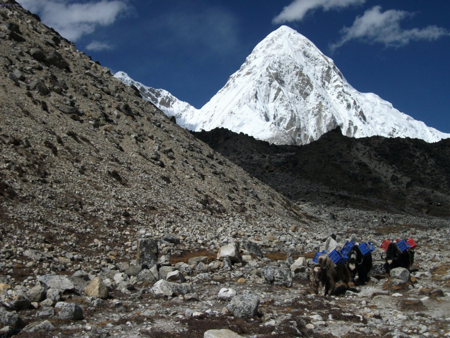 Pumori