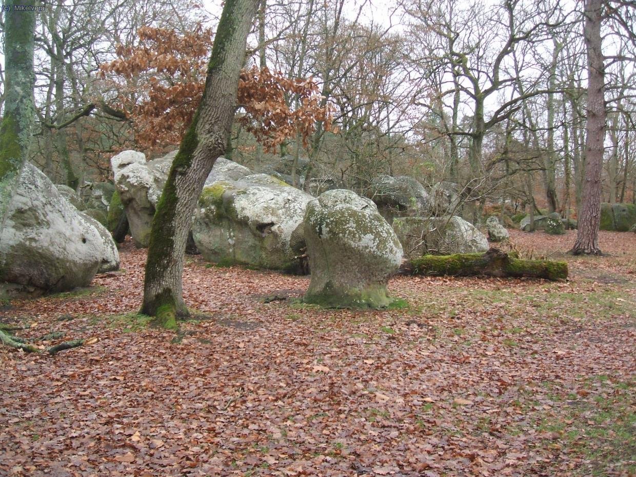 Vista desde el Parking de Bas Cuvier uno de los mejores sectores de Fontainebleau.