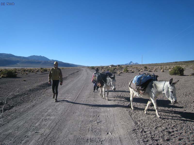 De vuelta al pueblo de sajama.