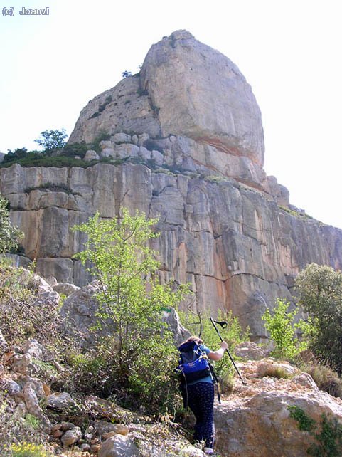 Pujant per la torrentera que baixa del Racó dels Boixets direcció al grau del Carrasclet