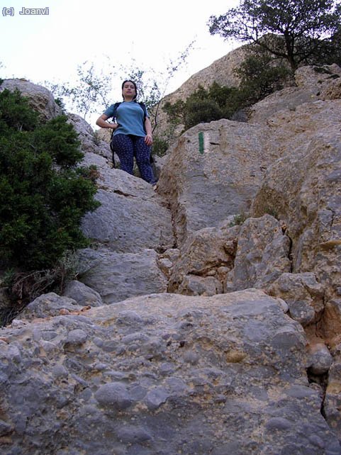 Anem grimpant seguint els senyals verds i blancs

