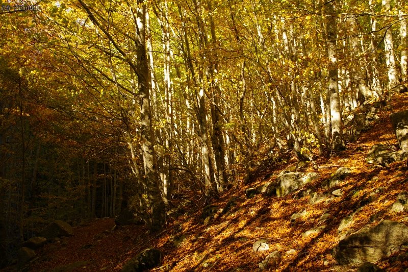 Colores oto&ntilde;ales en el valle de Salenques