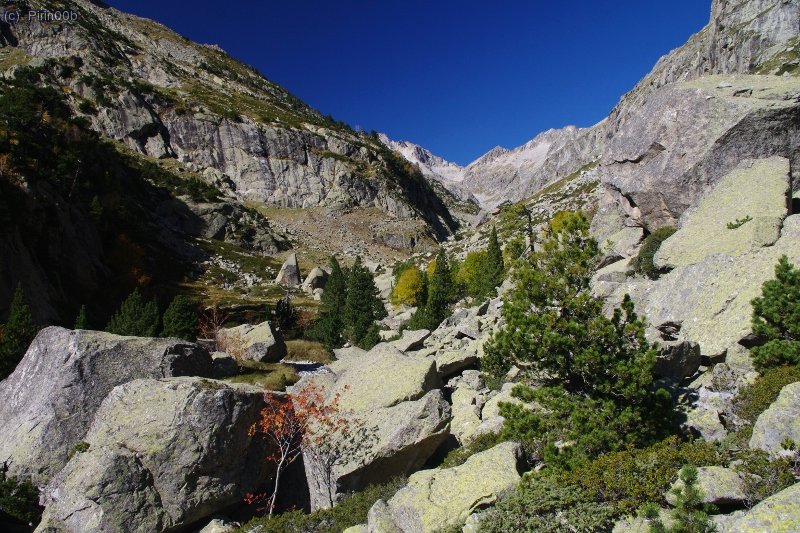 Se sale del bosque y ya se divisa la cabecera del valle, pero este se abandona enfilando por la ladera izquierda