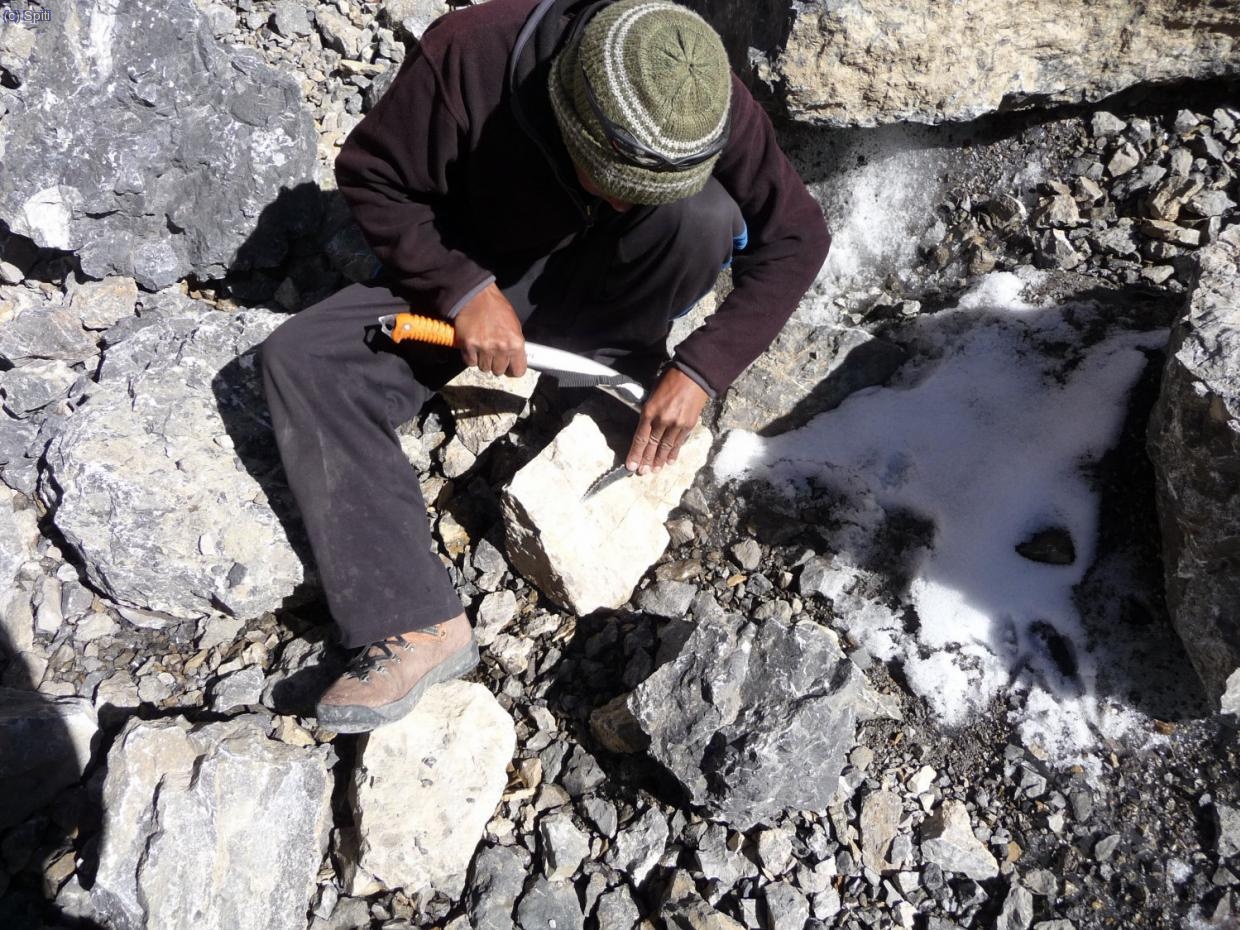Lhakpa Sherpa afilando el piolet de Madveras