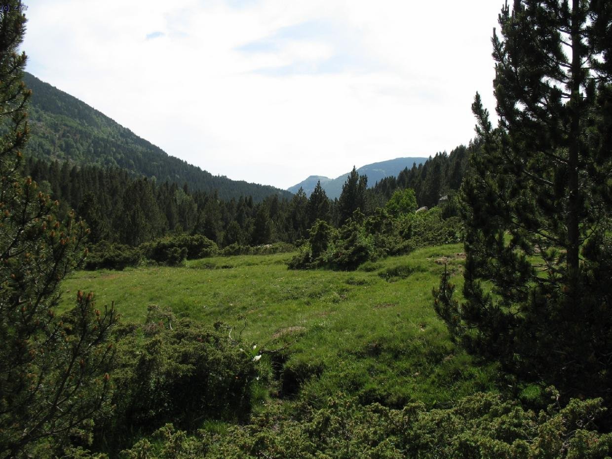 La vall d