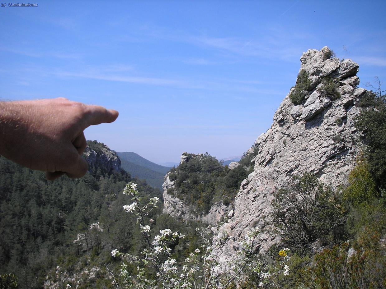 mira, el Montsant all&agrave; al fons