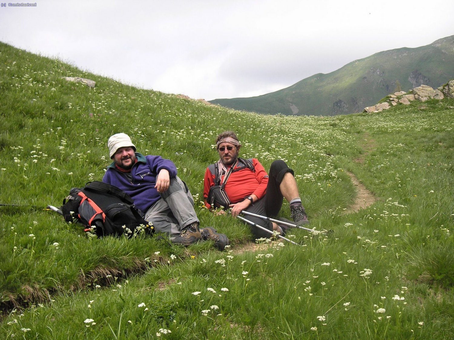 uns marmotos al resol