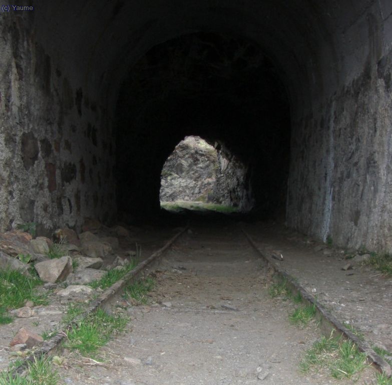 Apa!... i ara toca el tren tx&uacute;-tx&uacute;...