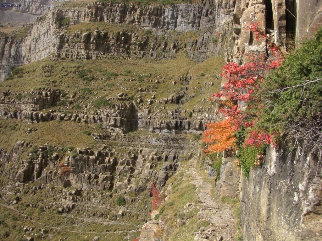 La fajeta ens rep empolainada amb els millors vestits de tardor.