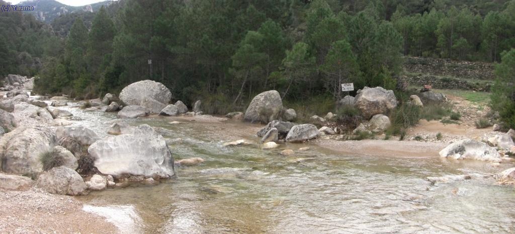 El riu baixa alegre i vist que remuntar-lo ser&agrave; un patxof-patxof...