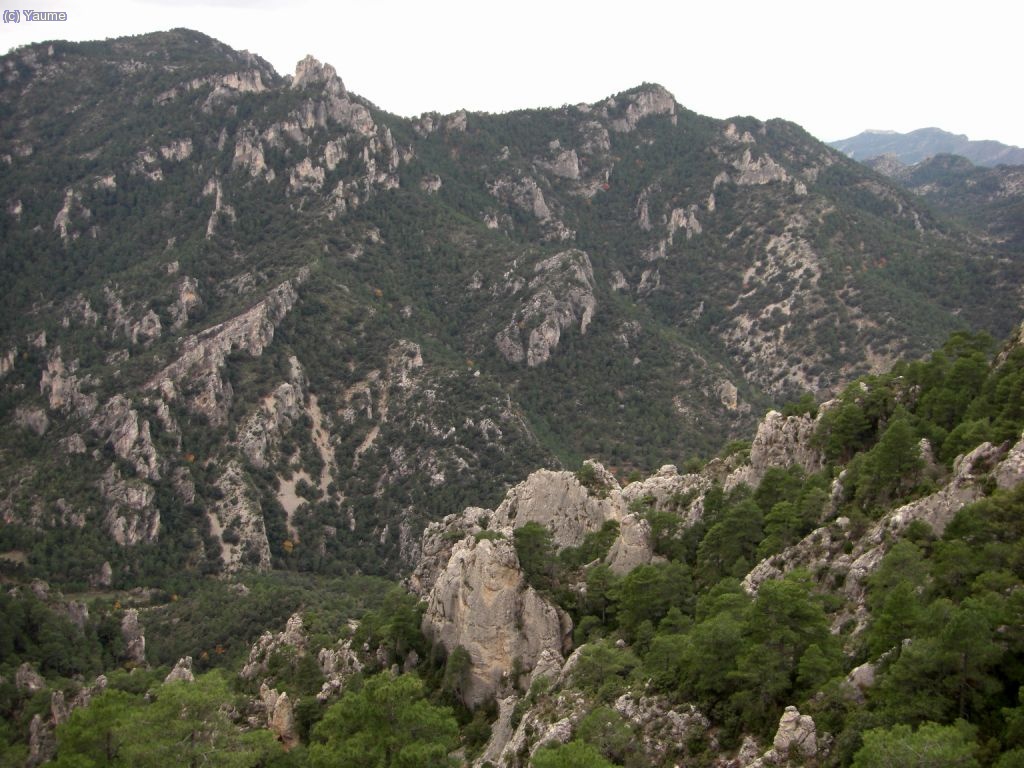 Poc a poc (que deia la gallina), l