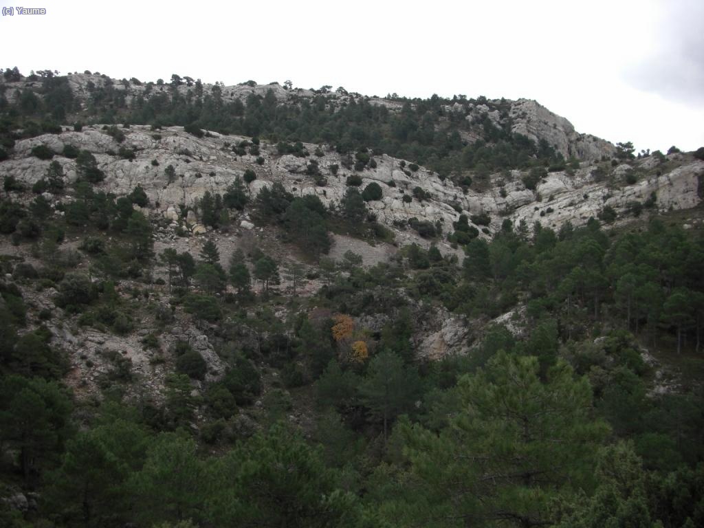 I ja tenim a tocar la mola del Lino.