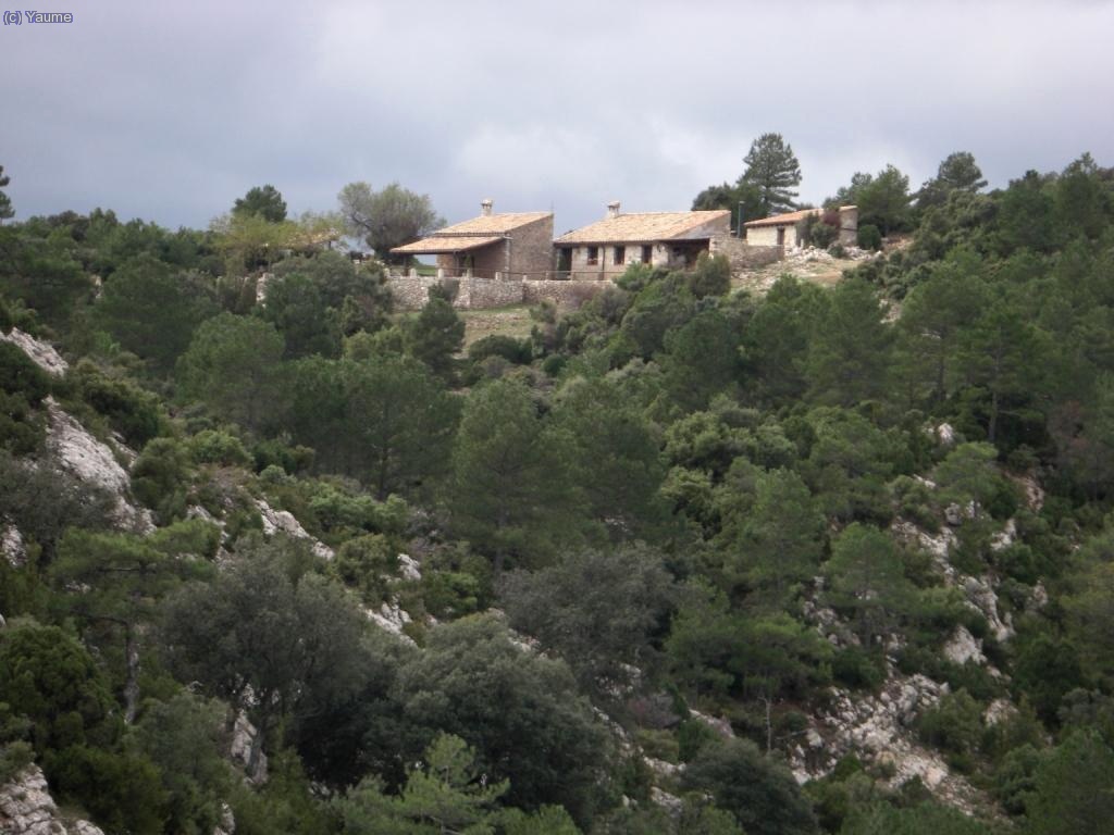 Ens acomiadem dels masets amb un fins aviat...