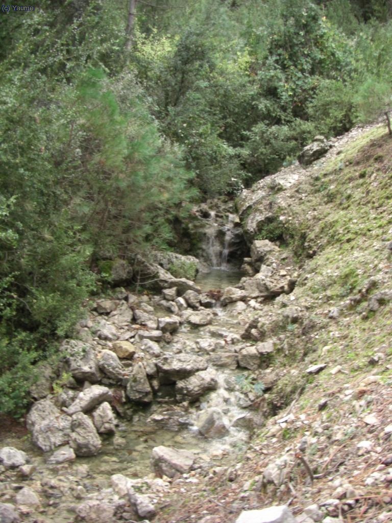 Fins i tot el barranquet &eacute;s permeteix l