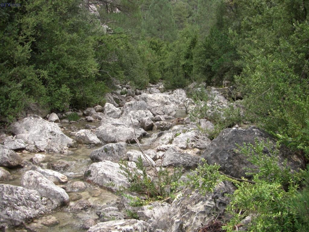 Dit i fet!, ja estem a l