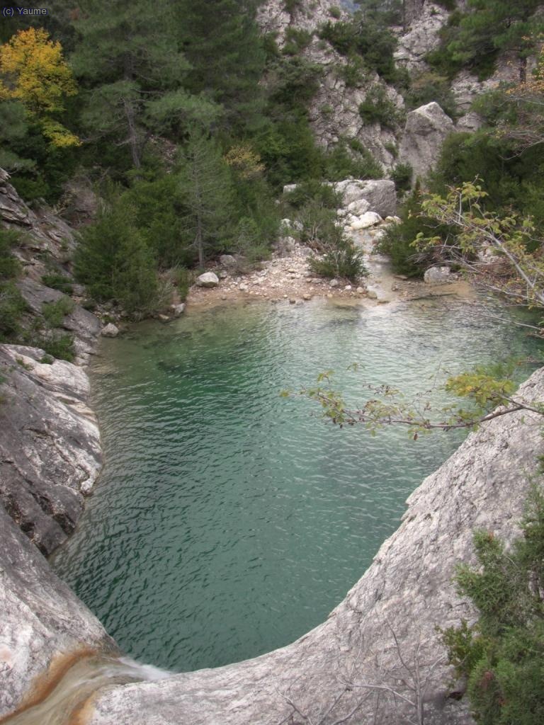 ...ens convida a fer-li el salt; per&oacute; resistim la temptaci&oacute; (avui sense gaire esfor&ccedil;, cal dir-ho).