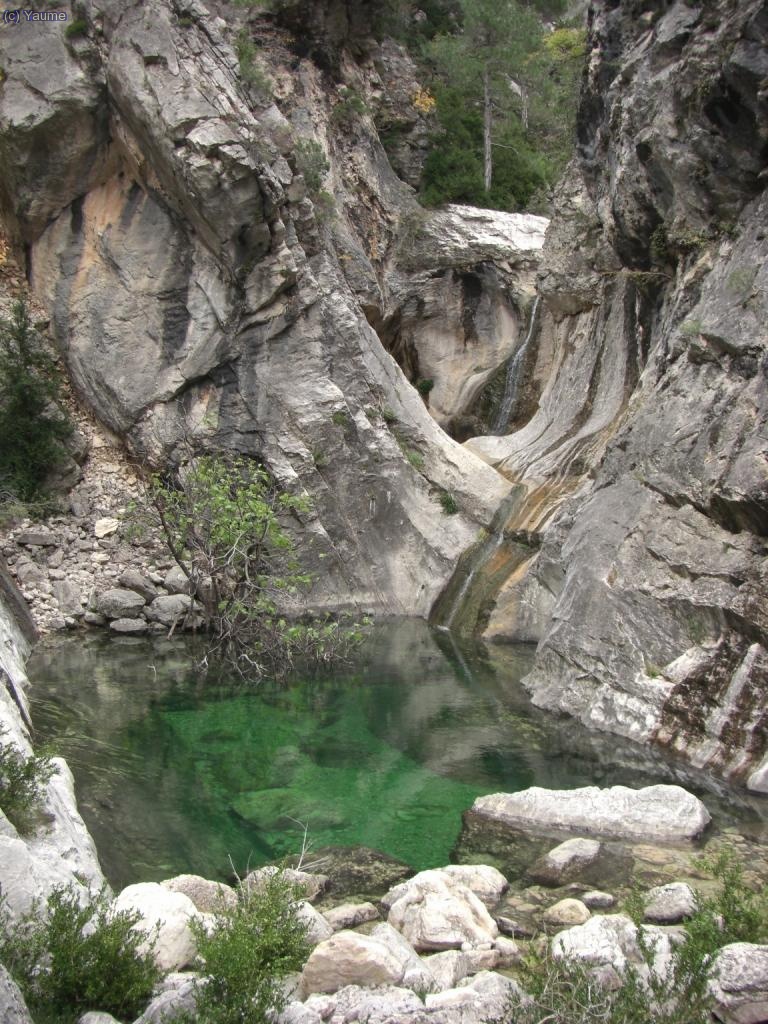 La maragda tolla de la figuera tamb&eacute; ens convida al bany, per&ograve; avui no toca...