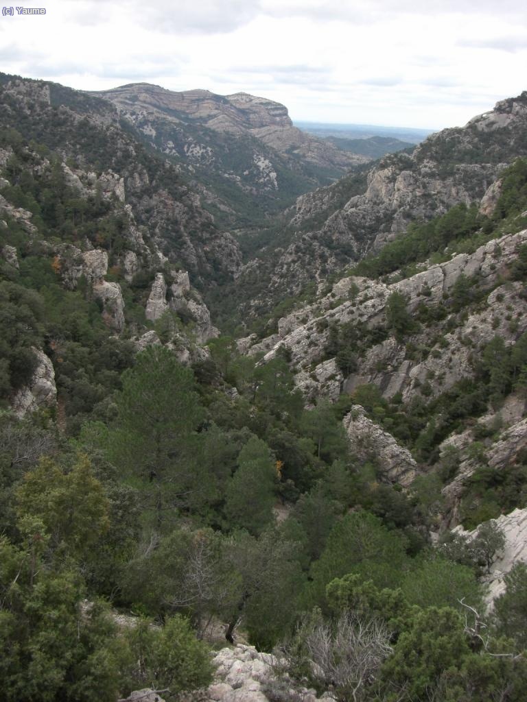 Aix&iacute; que tirem amunt a cercar la cap&ccedil;alera del barranc.