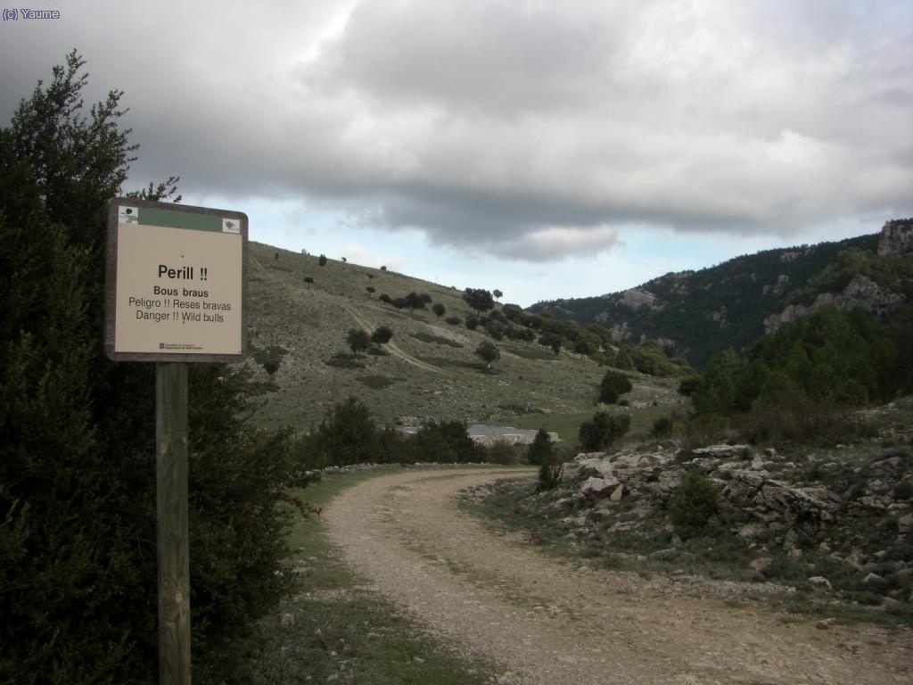 Cuidad&iacute;n, cuidad&iacute;iiiin !!...