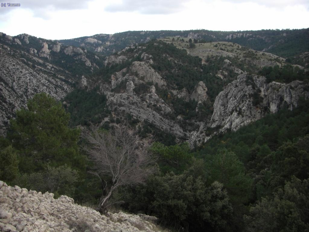 La mola de la Paridora, flanquejada pel barranc del seu nom i el del forat del riu Algars.