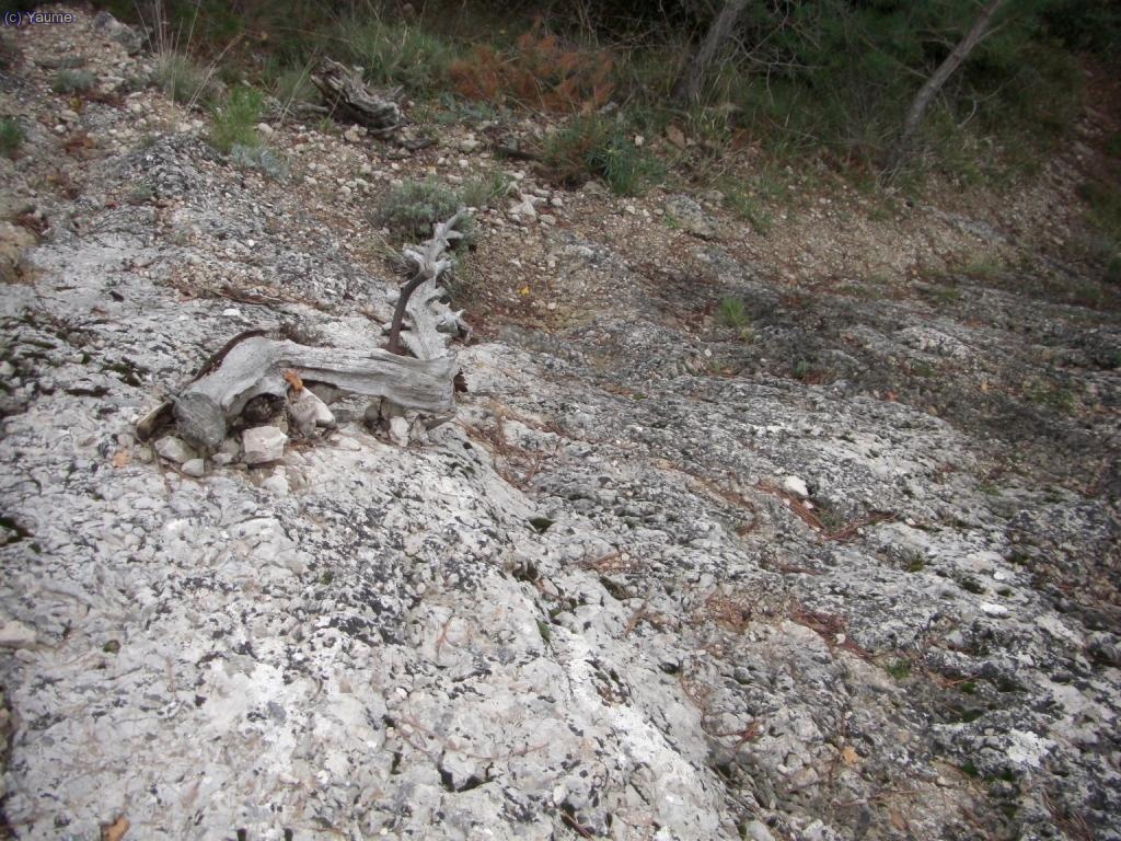 Ja de baixada, un curi&oacute;s passam&agrave;.