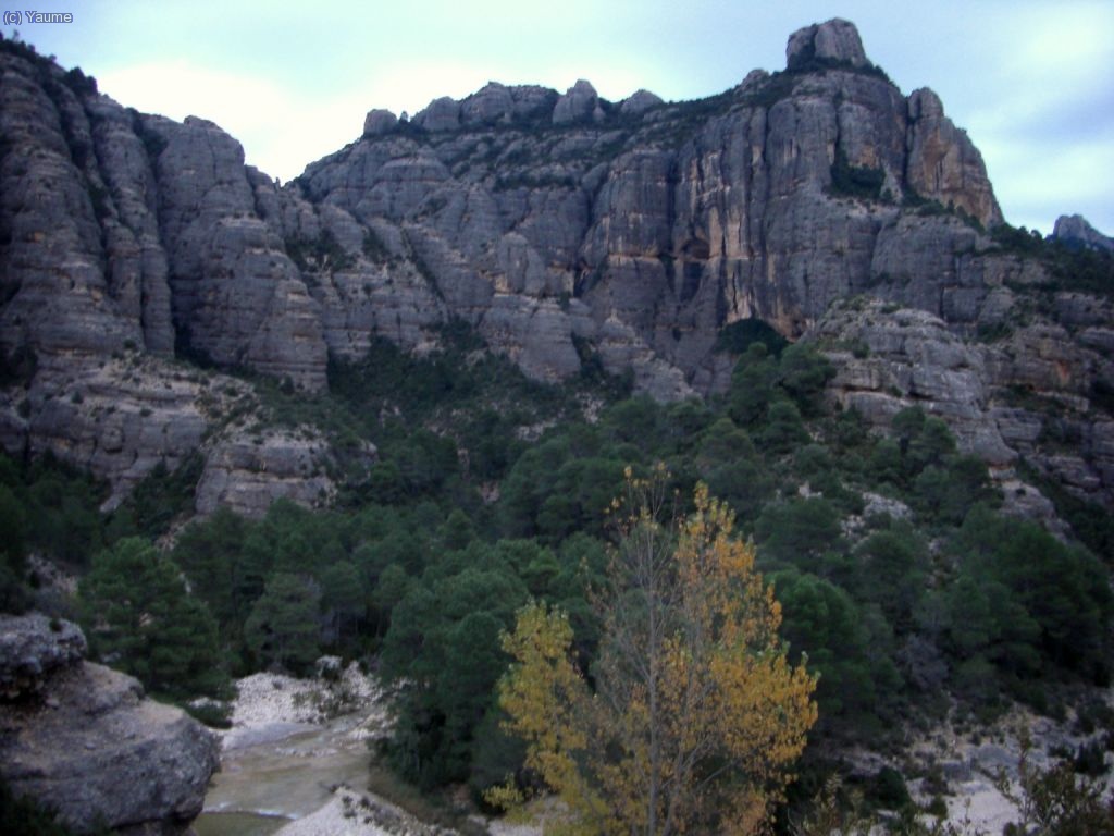 El capvespre ens sorpr&eacute;n al rac&oacute; de Sant Antoni o de les Olles... Apasiau.