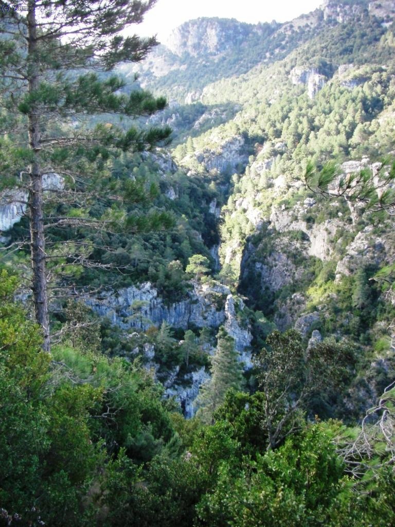 Ja es veu el tall fondo del barranc.