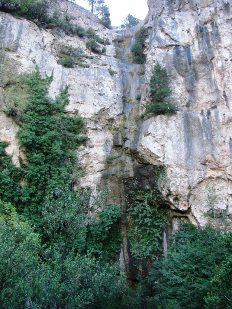El Salt del Ximenot, un bonic descens tamb&eacute;.