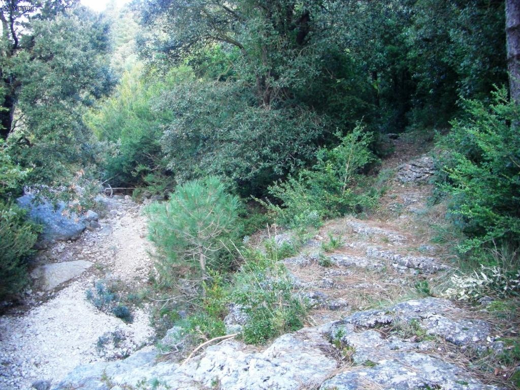 Deixem el GR al arribar al llit del barranc de Vallfiguera.