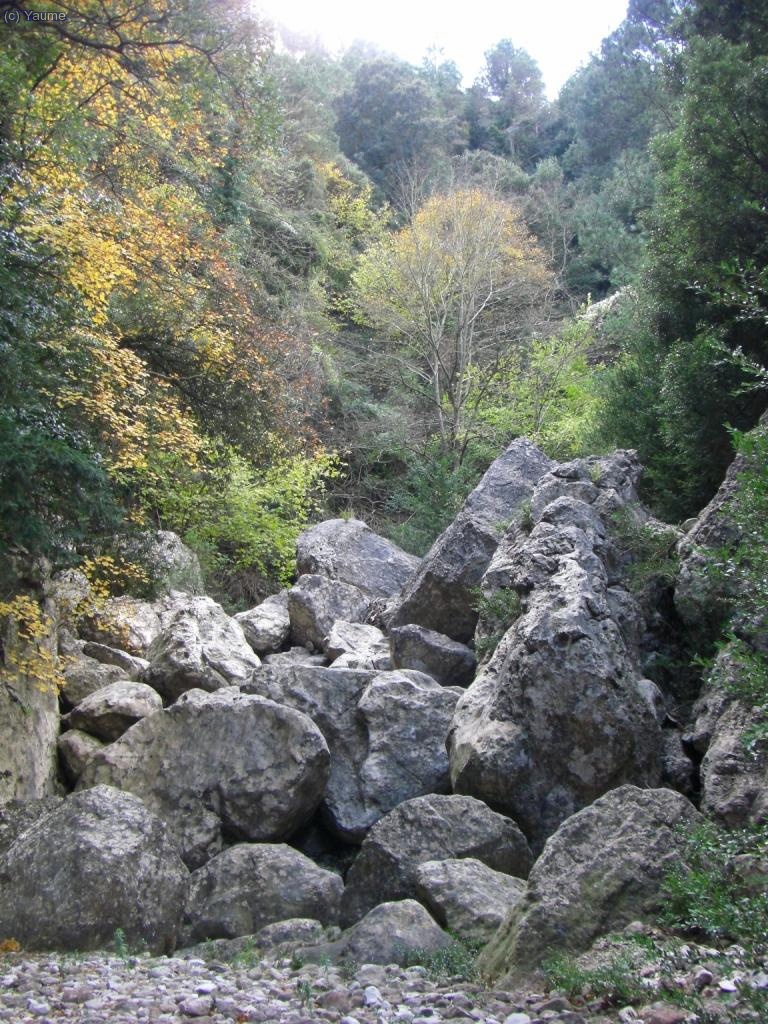 ...ara s