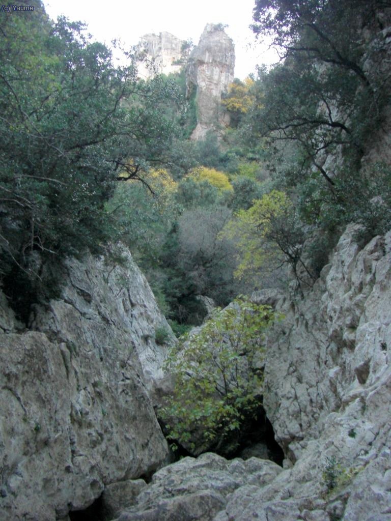 El barranc s