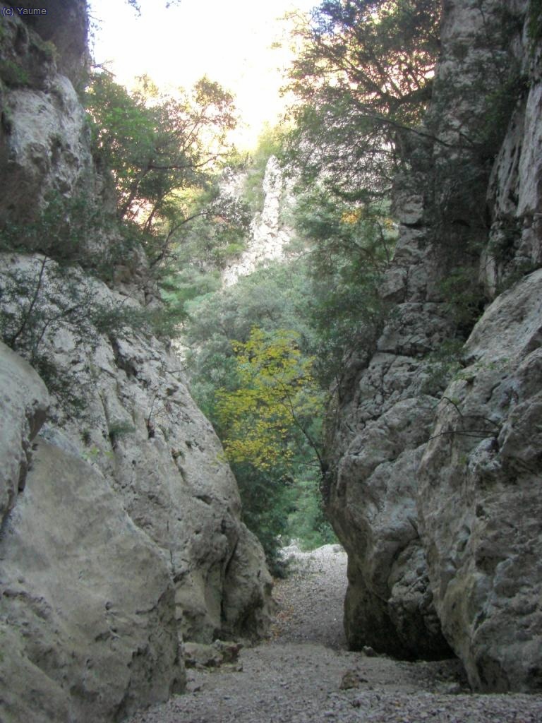 Xino-xano, sortim de les g&uacute;bies.