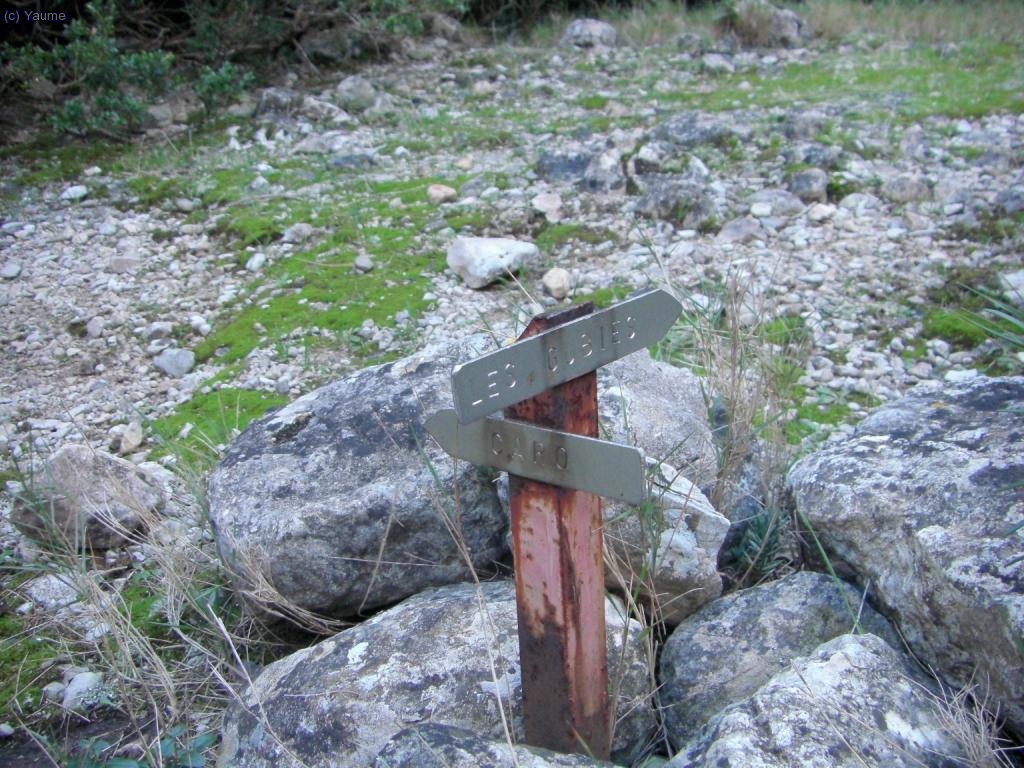 I ara cal sortir-ne del fondo, aix&iacute; que cap amunt!.