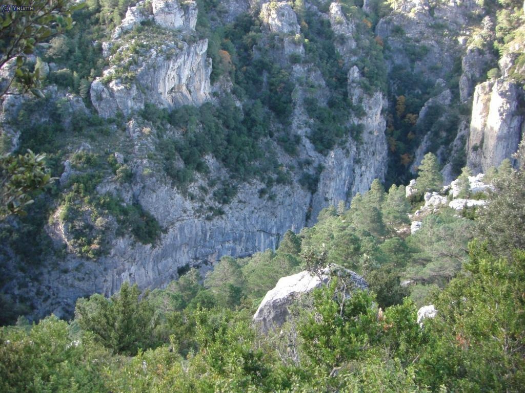All&agrave; baix han quedat les g&uacute;bies.