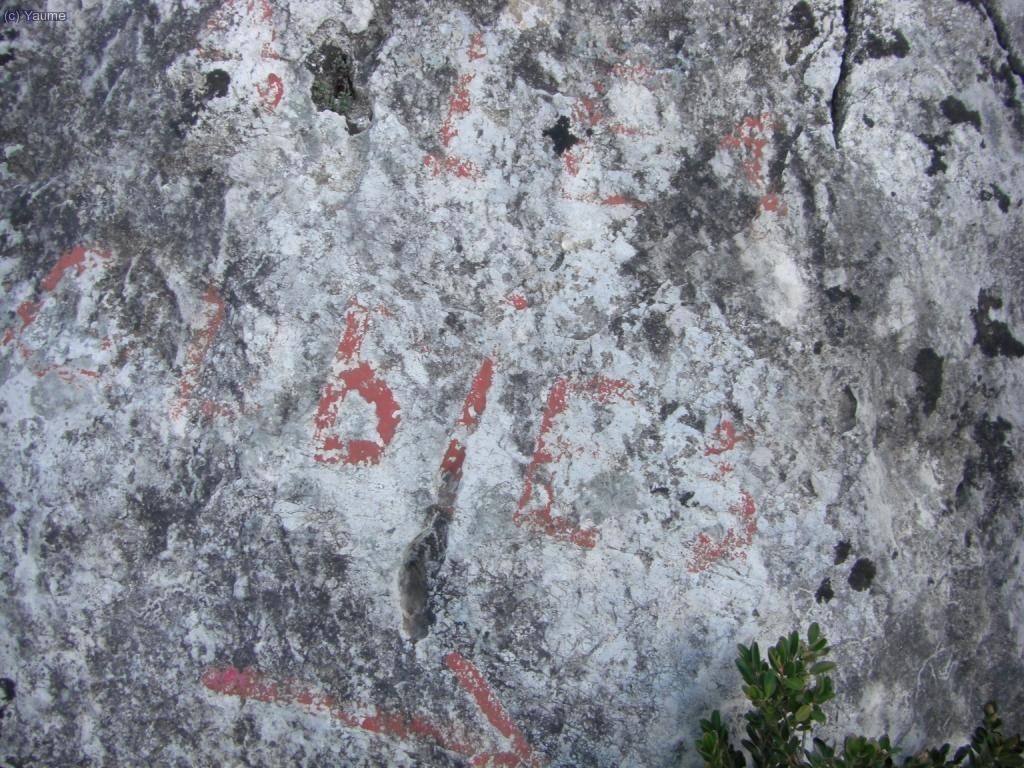 Prop de la carretera, una pedra ens diu d