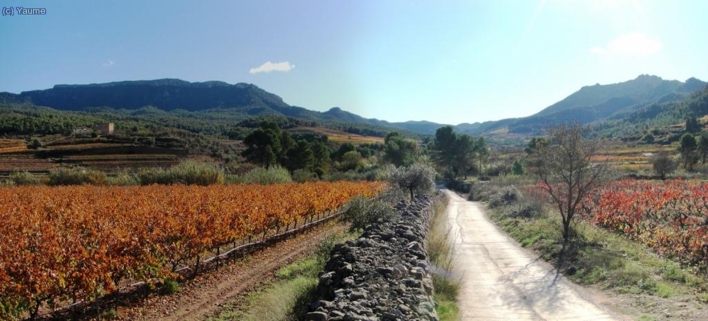 Sortim xino-xano per la pista del barranc de la vall. Al fons, els espadats de la serra de Llaberia, des de l