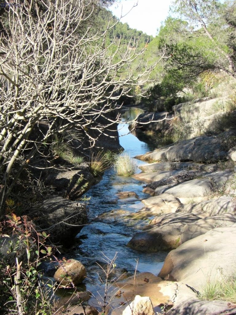 El riuet fa unes boniques cadolles que conviden al bany (a l