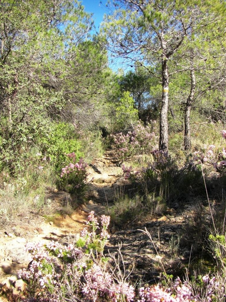 Al poc, deixem la pista tot seguint un PR: el cam&iacute; de la Sendal.
